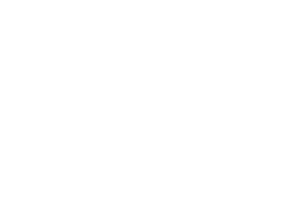 內文